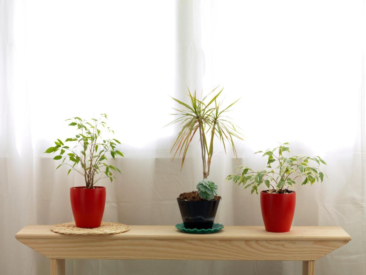 Appartamento Flh Porto Trindade Cozy Flat Esterno foto